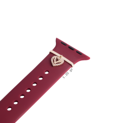 WATCH CHARM KALP VE KANATLAR